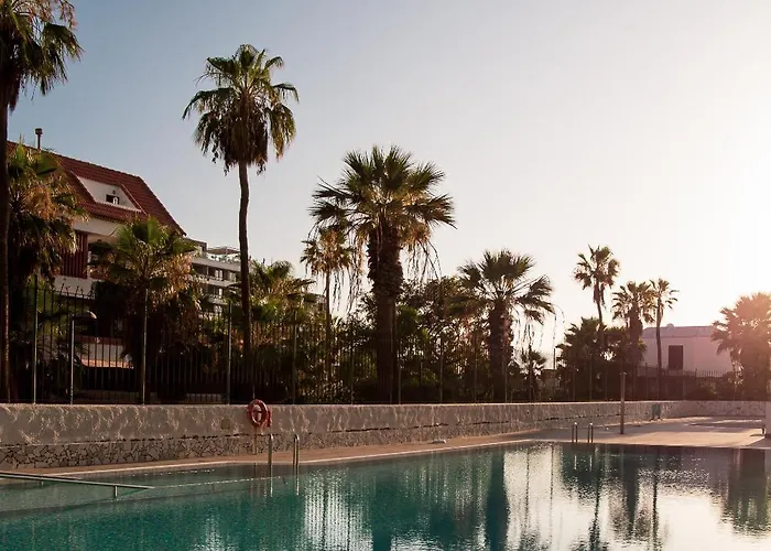 Danico Playa Honda 218